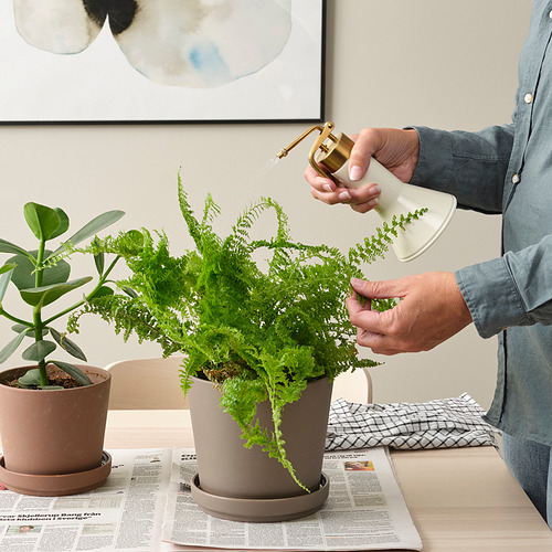 Una persona regando plantas verdes exuberantes con una elegante regadera VATTENKRASSE, promoviendo la jardinería de interior.