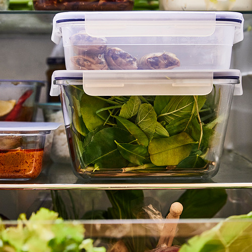 Recipiente de vidrio transparente con tapa a presión, lleno de verduras de hoja verde. Almacenado en un refrigerador.