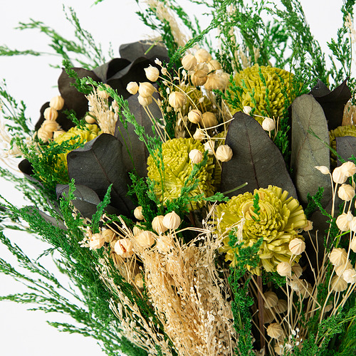 Arreglo de plantas secas con hojas verdes, flores color crema y hojas grandes y oscuras. Ingeniosamente elaborado, promete una belleza duradera.