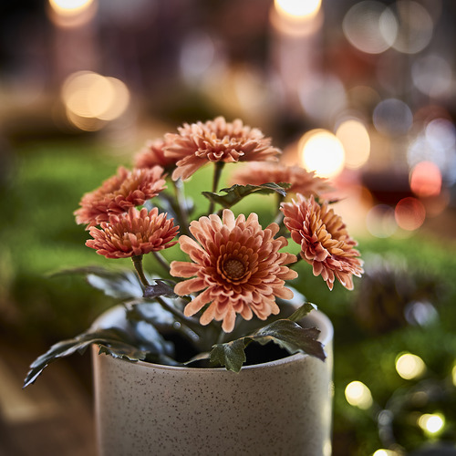 FEJKA, artificial potted plant. 2 of 4 open dialog