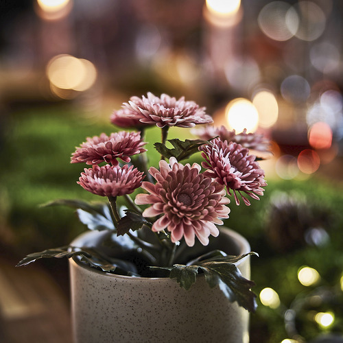 FEJKA, artificial potted plant. 4 of 4 open dialog