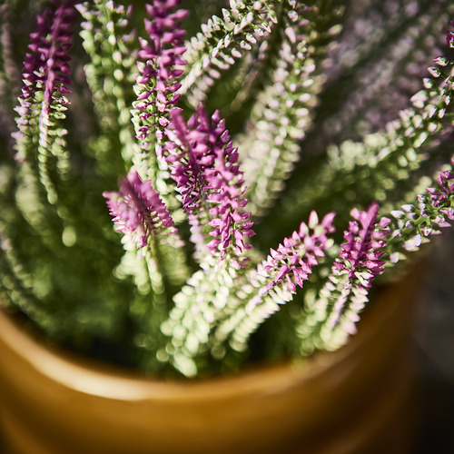 FEJKA, artificial potted plant. 2 of 3 open dialog