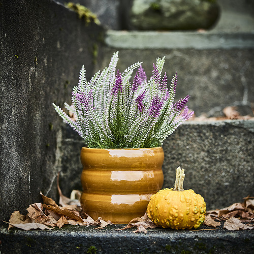 FEJKA, artificial potted plant. 3 of 3 open dialog