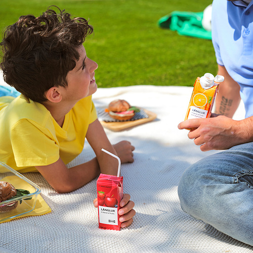 Un niño y un adulto disfrutan de los batidos de LÅNGLUR al aire libre sobre una manta con sándwiches.
