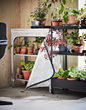 See image HYLLIS 5 of 9