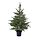 Current variation: indoor/outdoor/christmas tree green