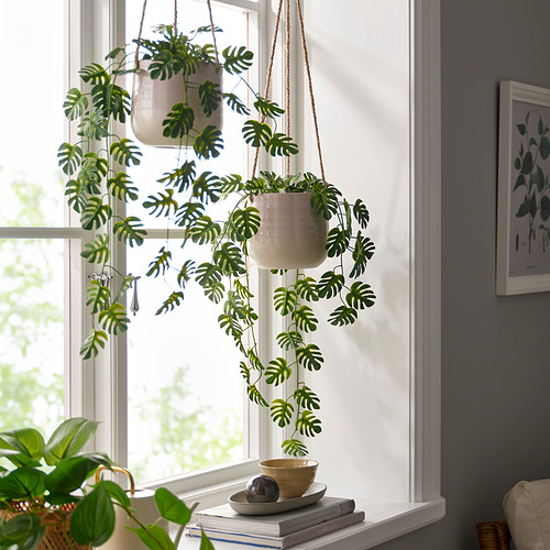 Plantas de FEJKA colgadas en macetas blancas junto a la ventana, hojas verdes exuberantes, más pequeñas que el arte enmarcado cerca.