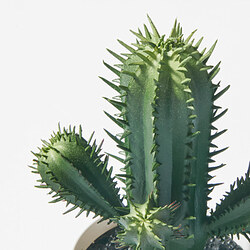 FEJKA planta artificial