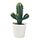 Variación actual: Cactus