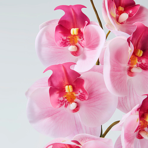 Hermosas orquídeas rosas, detalladas, vibrantes. Las flores falsas parecen reales, el primer plano muestra calidad.