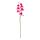 Current variation: indoor/outdoor/Orchid pink