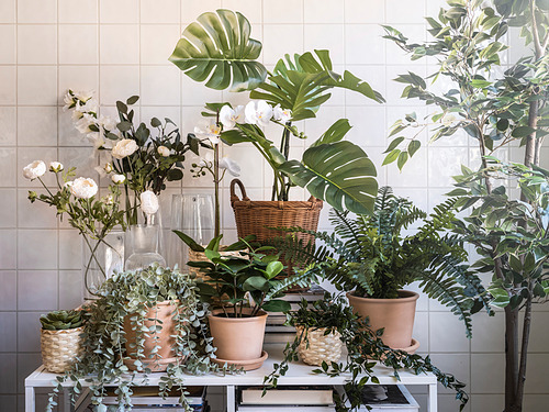 FEJKA, artificial potted plant. 5 of 7 open dialog