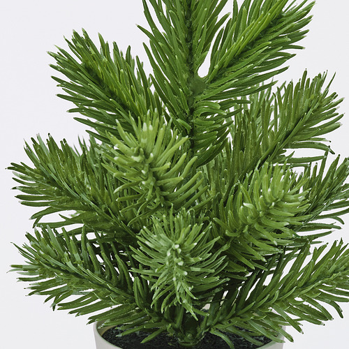 VINTERFINT, planta artificial. 3 de 3 abrir diálogo