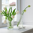 See image SMÄLLSPIREA 2 of 5