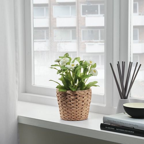 Una cesta de plantas tejida con flores blancas se encuentra junto a una ventana, con un platillo interior.