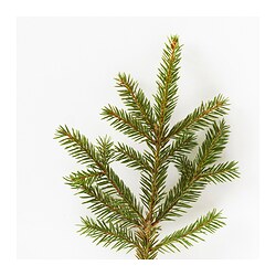 VINTERFINT vela aromática pequeña