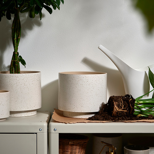 Dos macetas SANDKÖRSBÄR en estantería, una grande y otra pequeña. A la izquierda tiene la planta, a la derecha tiene la regadera y la planta de raíz expuesta.