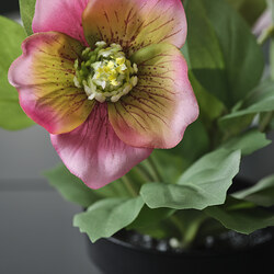 FEJKA artificial potted plant