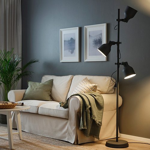 Sala de estar con lámpara de pie junto al sofá, fotos de la naturaleza en la pared, plantas y mesa de café.