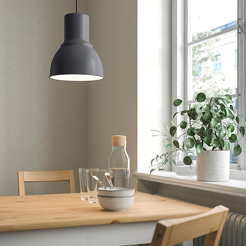 Comedor moderno con lámpara colgante negra sobre mesa de madera, rodeado de plantas verdes.
