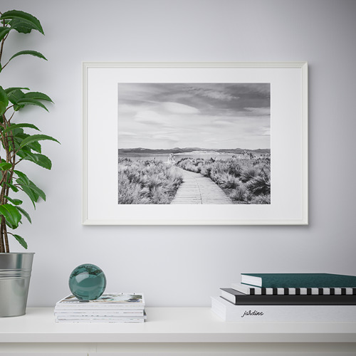 Foto costera enmarcada en blanco y negro cuelga de una pared sobre un estante blanco. El estante contiene libros y una planta en maceta.