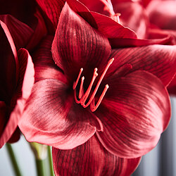 VINTERFINT artificial flower