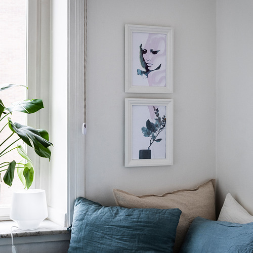 Habitación minimalista: arte con marco blanco, plantas, almohadas azules.