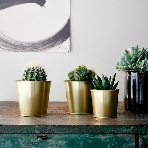 Tres macetas de acero color latón con cactus en un estante de madera.