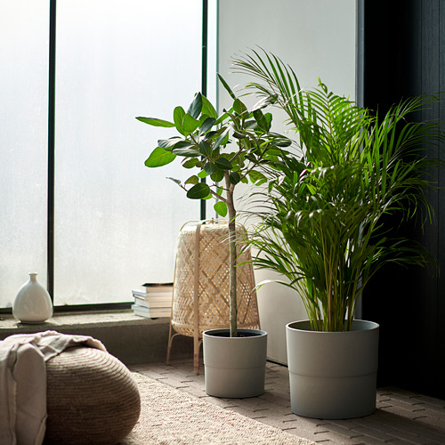 Habitación moderna con plantas y luz natural.