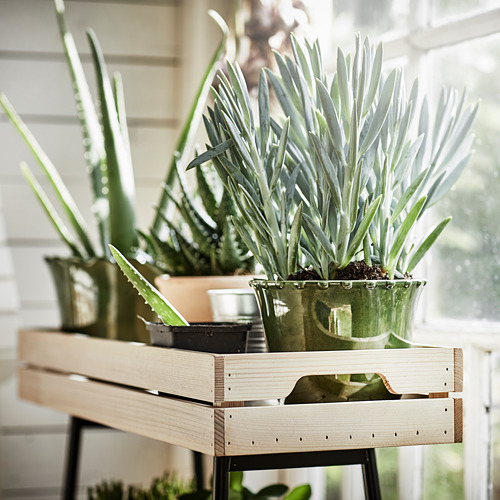 Soporte de madera para plantas con macetas de cerámica verde que sostienen varias plantas; se exhibe en interiores.