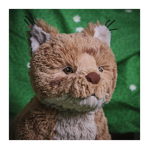 Peluche de lince con detalles bordados sobre fondo verde.