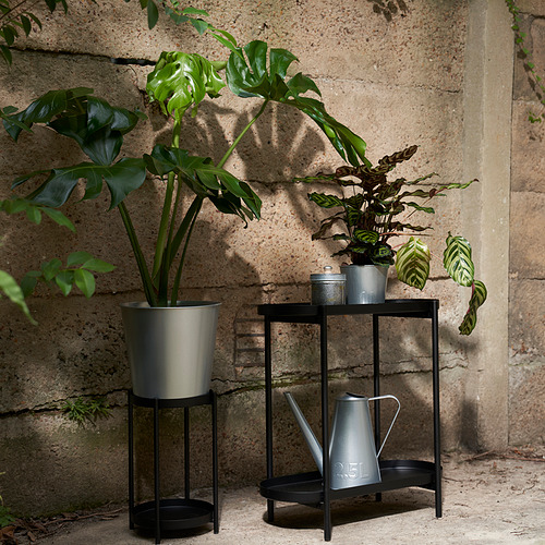 Regadera ÅKERBÄR en soporte con plantas.