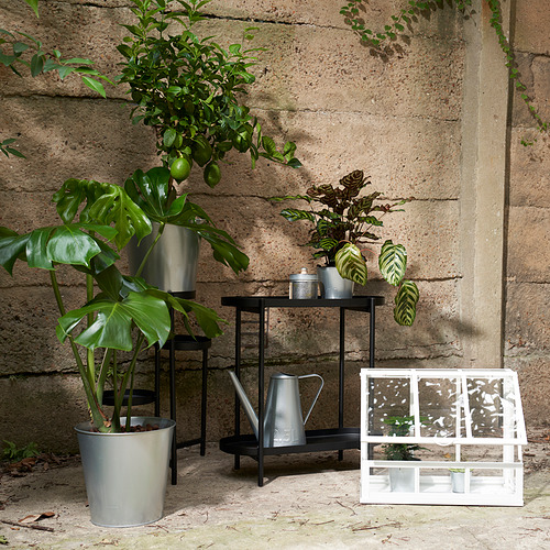 Escena de jardín estético con regadera de acero ÅKERBÄR, pequeñas plantas en macetas y un cajón blanco sobre fondo de piedra envejecida.