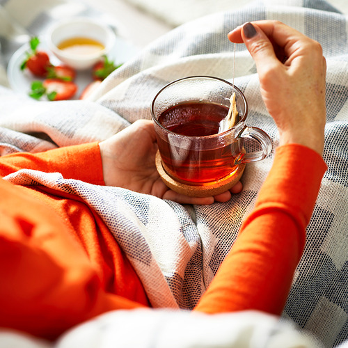 Persona sosteniendo una taza de vidrio transparente con una bolsita de té, rodeada de acogedoras mantas y un tazón de fresas.