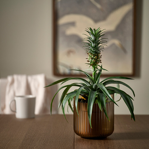 GRADVIS, plant pot. 2 of 3 open dialog