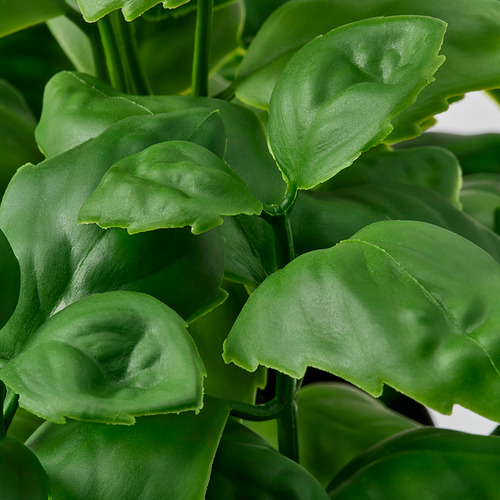 FEJKA, artificial potted plant. 3 of 3 open dialog