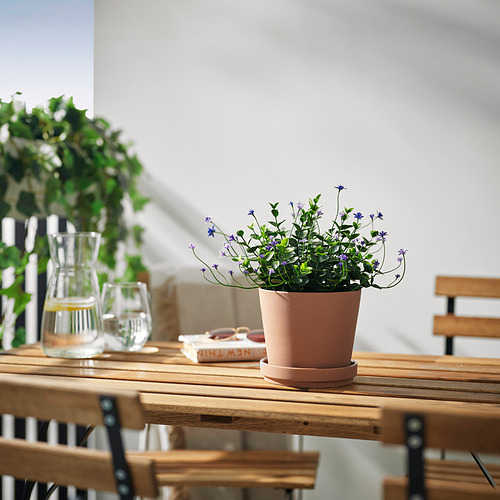 FEJKA, planta artificial. 2 de 3 abrir diálogo