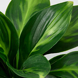FEJKA artificial potted plant