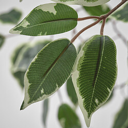 FEJKA artificial potted plant