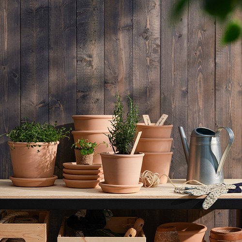 Macetas de terracota con plantas y jarra.