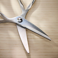 BRYTBÖNA scissors