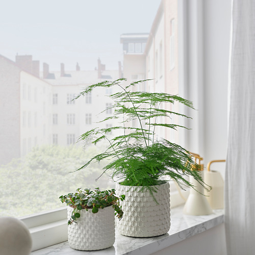 GLACIÄRBJÖRN, plant pot. 2 of 3 open dialog