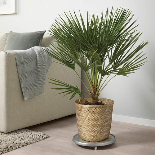 KLYNNON, plant pot. 6 of 8 open dialog