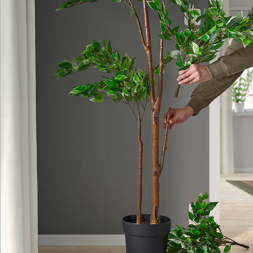 FEJKA, planta artificial. 3 de 4 abrir diálogo