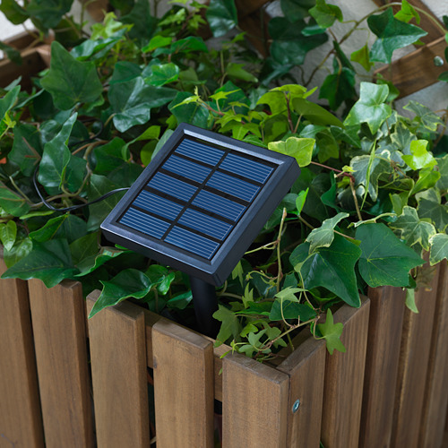 Un panel de luz alimentado por energía solar se encuentra entre hojas verdes en una maceta de madera, que se carga durante el día para iluminar por la noche.