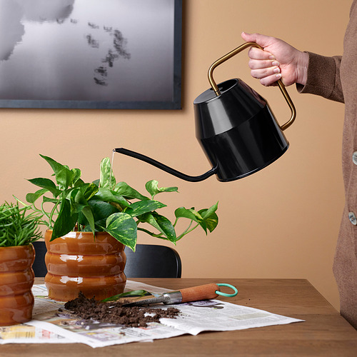 VATTENKRASSE, watering can. 3 of 4 open dialog