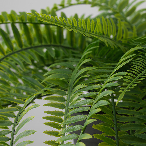 FEJKA, planta artificial. 4 de 4 abrir diálogo