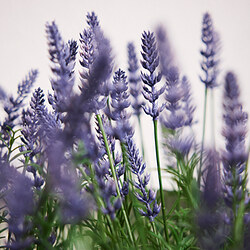 FEJKA planta artificial