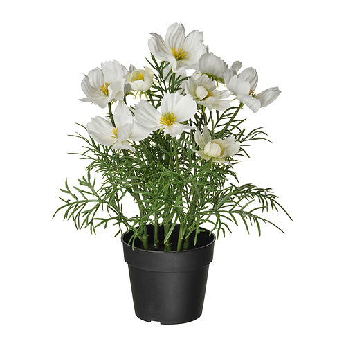 FEJKA, artificial potted plant. 1 of 3 open dialog