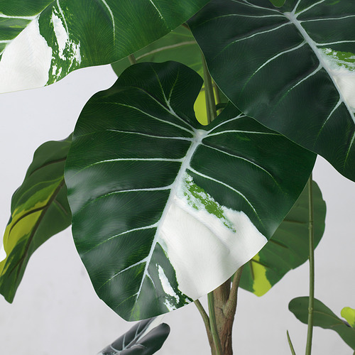 Gran planta frondosa artificial con hojas verdes y blancas, realista y de aspecto fresco, colocada en el interior.